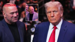 Dana White