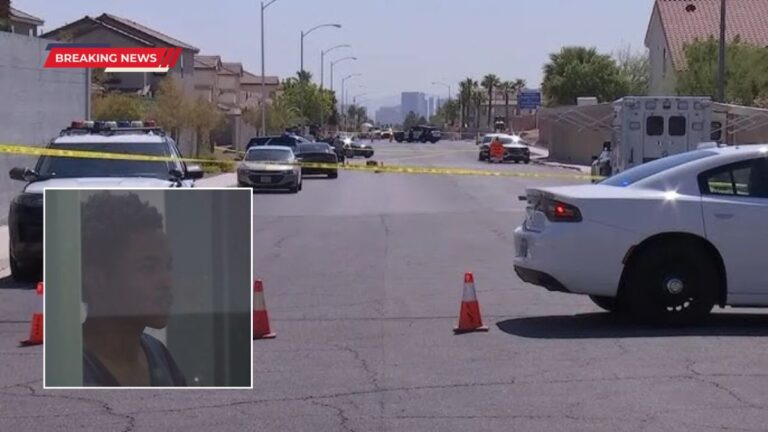 Las Vegas Robbery