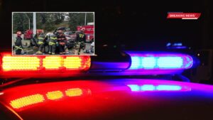 Puyallup Crash