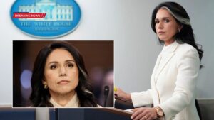 Tulsi Gabbard