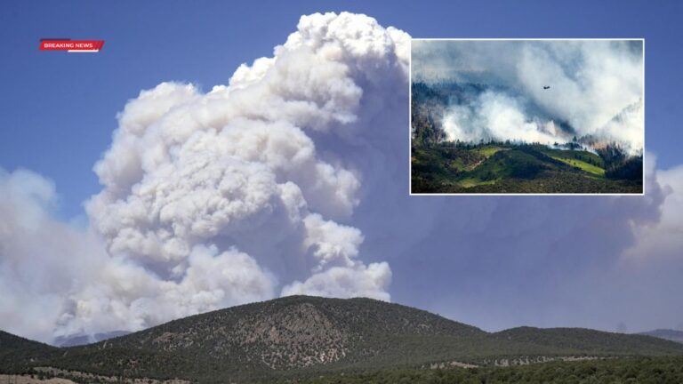 Fire Weather