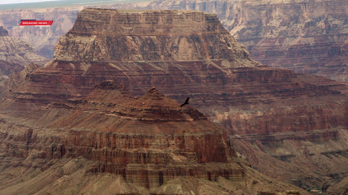 Grand Canyon