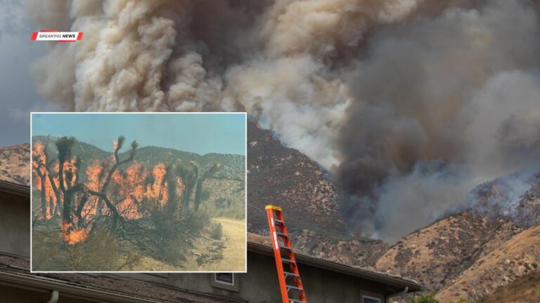 Summit Fire