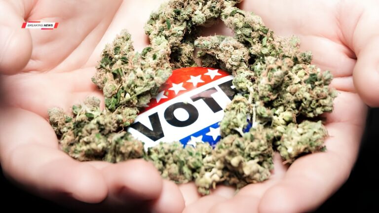 Marijuana