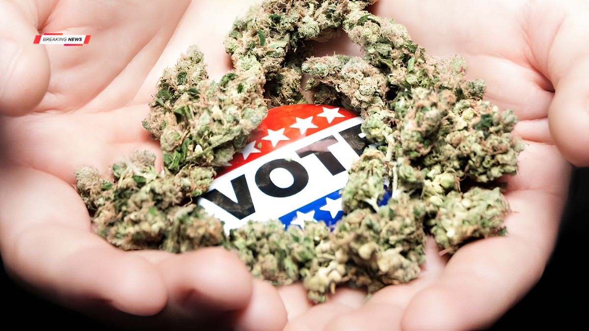 Marijuana