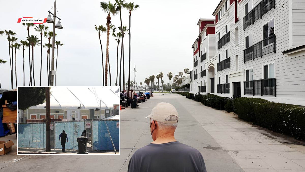 Venice Neighbors