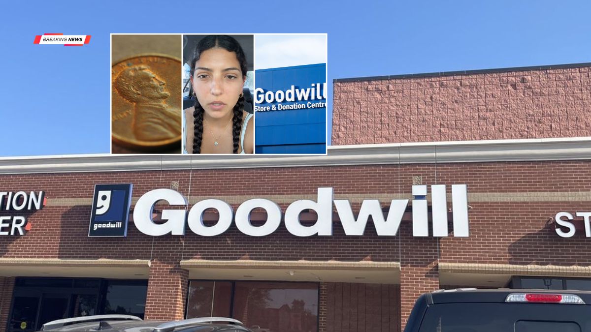 Goodwill Shopper