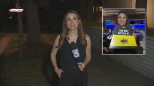 KTLA